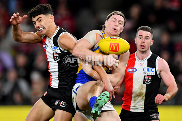 AFL 2024 Round 19 - St Kilda v West Coast - A-51986329