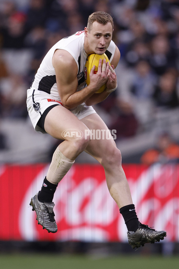 AFL 2024 Round 19 - Hawthorn v Collingwood - A-51986336