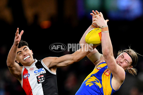 AFL 2024 Round 19 - St Kilda v West Coast - A-51986337