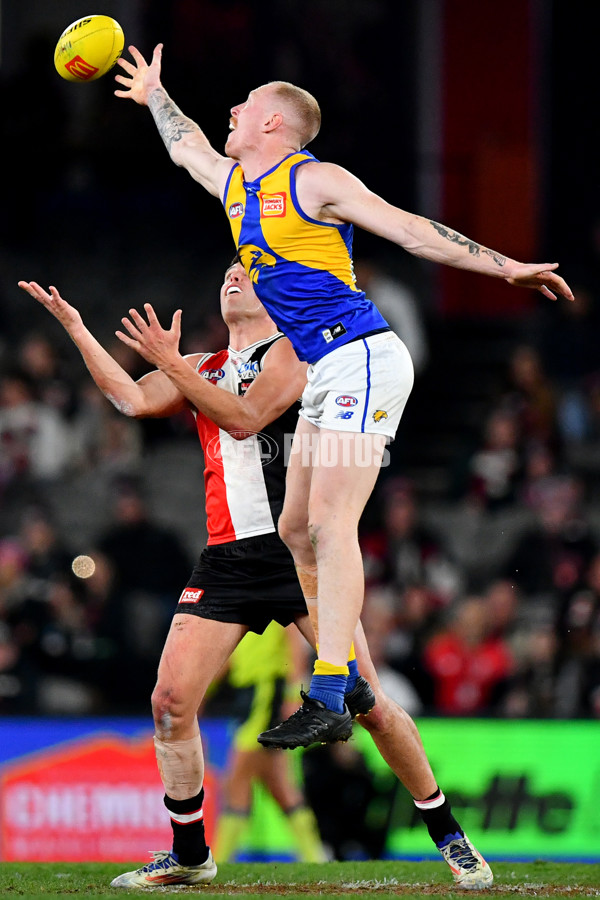 AFL 2024 Round 19 - St Kilda v West Coast - A-51989001