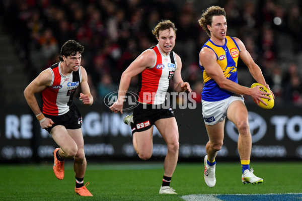 AFL 2024 Round 19 - St Kilda v West Coast - A-51990691