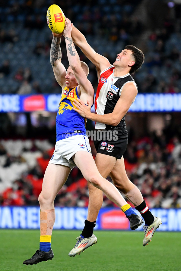 AFL 2024 Round 19 - St Kilda v West Coast - A-51991115