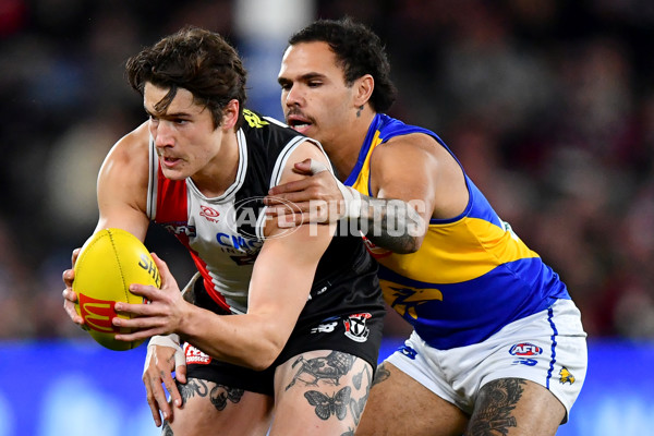 AFL 2024 Round 19 - St Kilda v West Coast - A-51993419