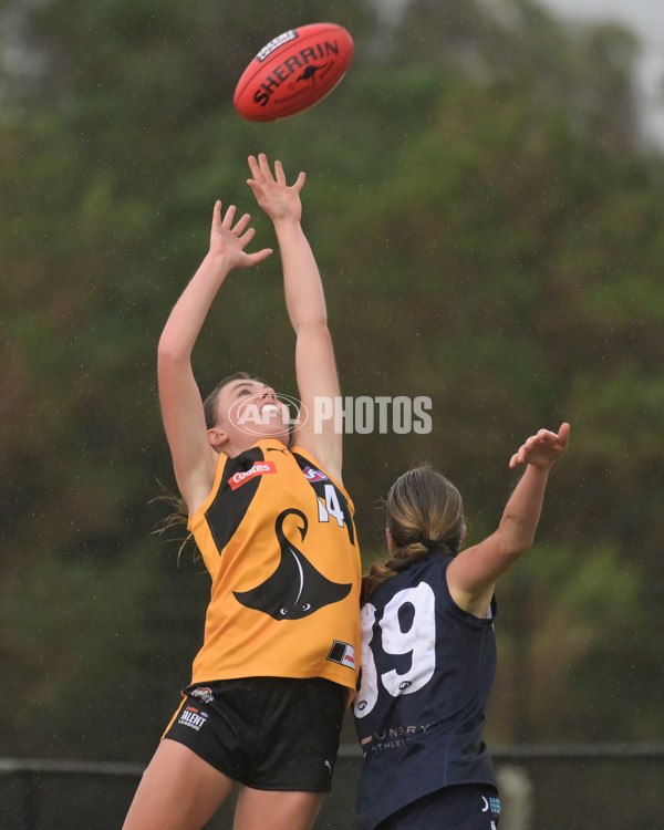 Coates League Girls 2024 - Sandringham v Dandenong - A-51993424