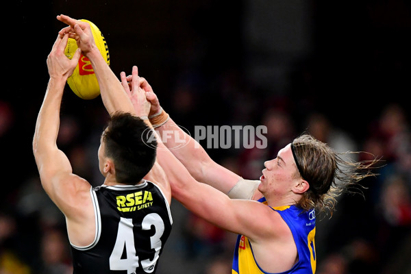 AFL 2024 Round 19 - St Kilda v West Coast - A-51993444