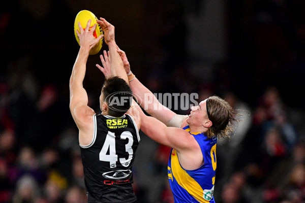 AFL 2024 Round 19 - St Kilda v West Coast - A-51993448