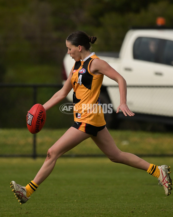 Coates League Girls 2024 - Sandringham v Dandenong - A-51994006