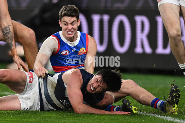 AFL 2024 Round 19 - Geelong v Western Bulldogs - A-51996166