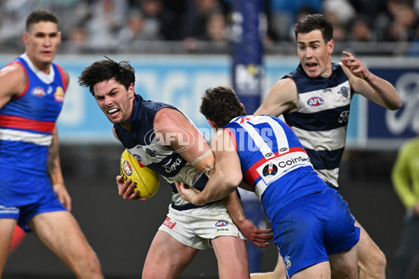 AFL 2024 Round 19 - Geelong v Western Bulldogs - A-51996167