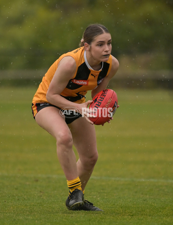 Coates League Girls 2024 - Sandringham v Dandenong - A-51996178