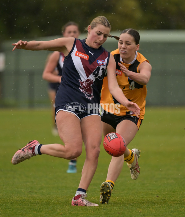 Coates League Girls 2024 - Sandringham v Dandenong - A-51996179