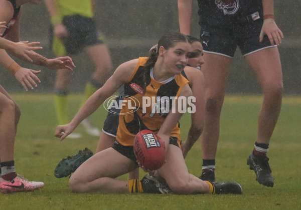 Coates League Girls 2024 - Sandringham v Dandenong - A-51996180