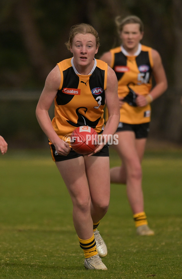 Coates League Girls 2024 - Sandringham v Dandenong - A-51996182