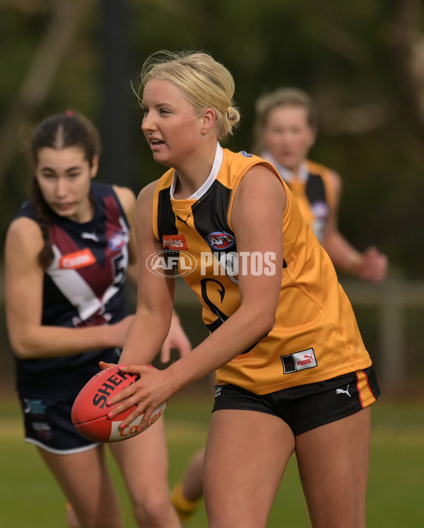 Coates League Girls 2024 - Sandringham v Dandenong - A-51996183