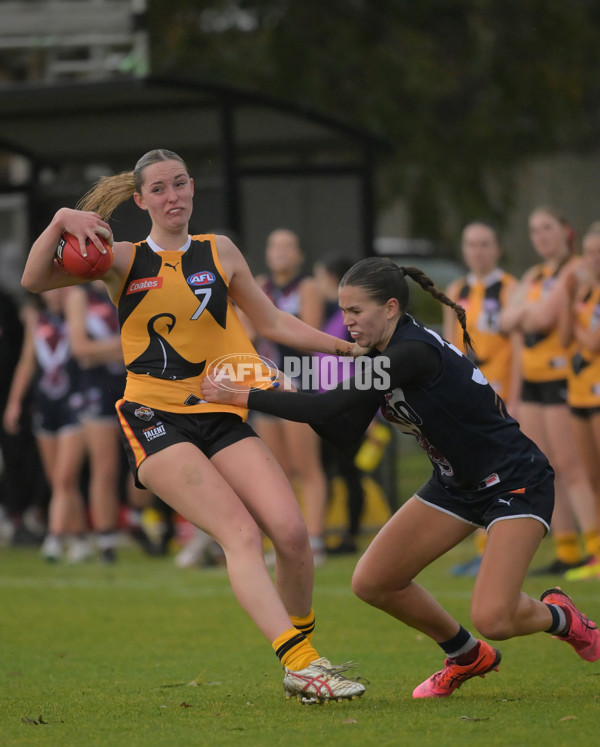 Coates League Girls 2024 - Sandringham v Dandenong - A-51996185