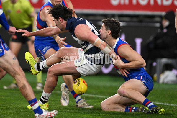 AFL 2024 Round 19 - Geelong v Western Bulldogs - A-51996359