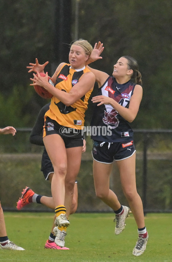 Coates League Girls 2024 - Sandringham v Dandenong - A-51996369