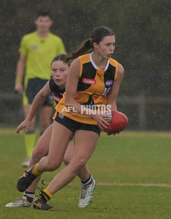 Coates League Girls 2024 - Sandringham v Dandenong - A-51996370