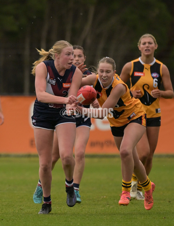 Coates League Girls 2024 - Sandringham v Dandenong - A-51996373