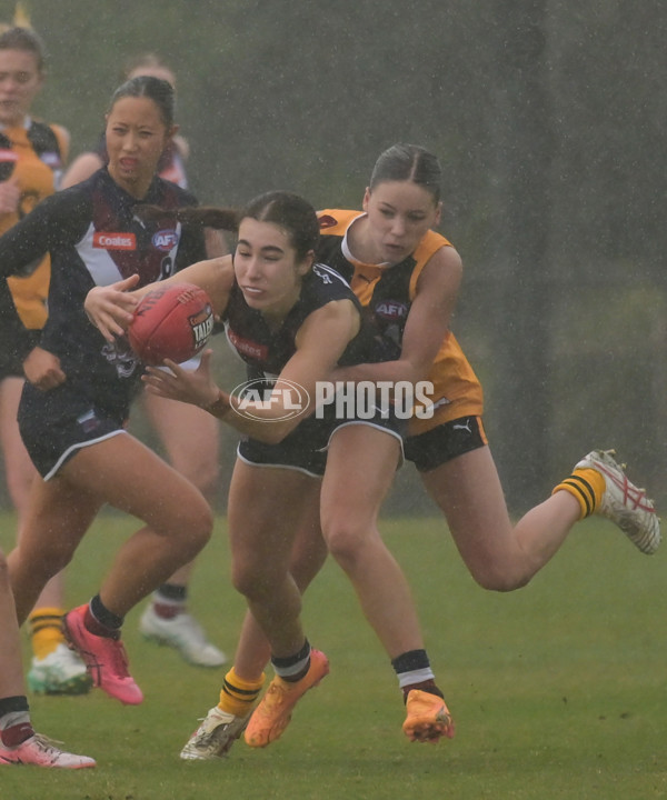 Coates League Girls 2024 - Sandringham v Dandenong - A-51996374