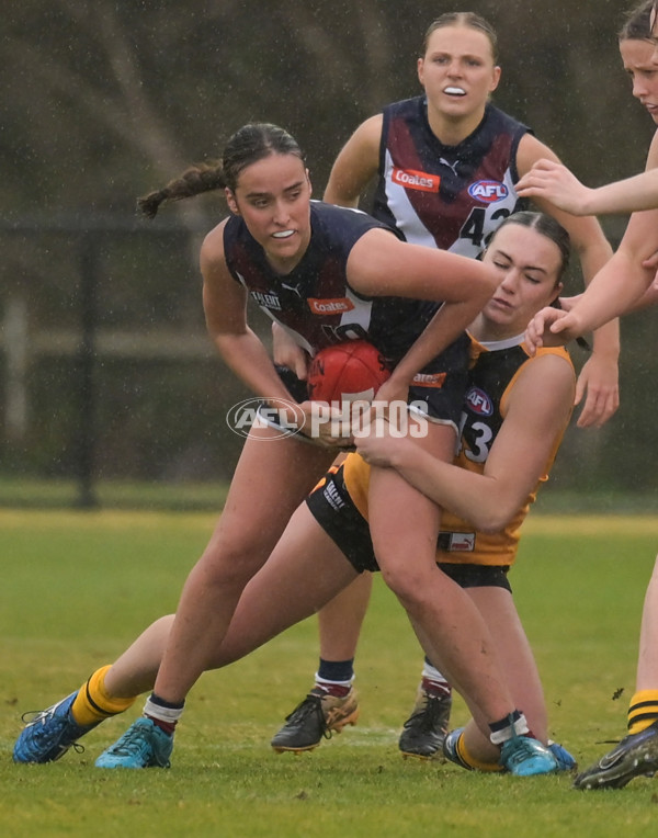 Coates League Girls 2024 - Sandringham v Dandenong - A-51996411