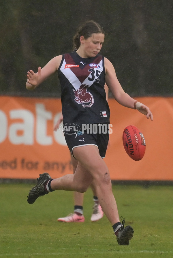 Coates League Girls 2024 - Sandringham v Dandenong - A-51998664