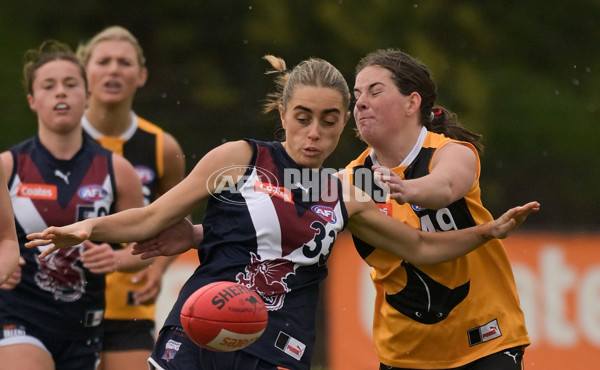 Coates League Girls 2024 - Sandringham v Dandenong - A-51998682