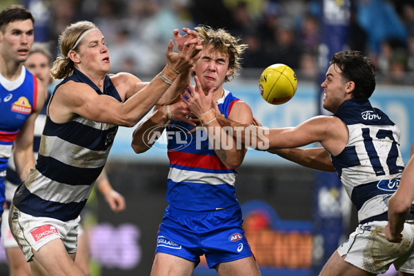 AFL 2024 Round 19 - Geelong v Western Bulldogs - A-51998895