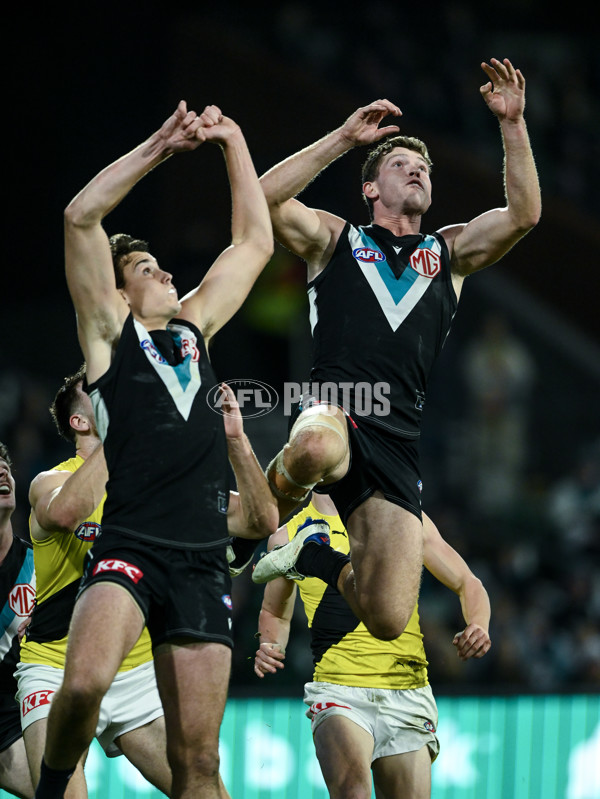 AFL 2024 Round 19 - Port Adelaide v Richmond - A-52001474