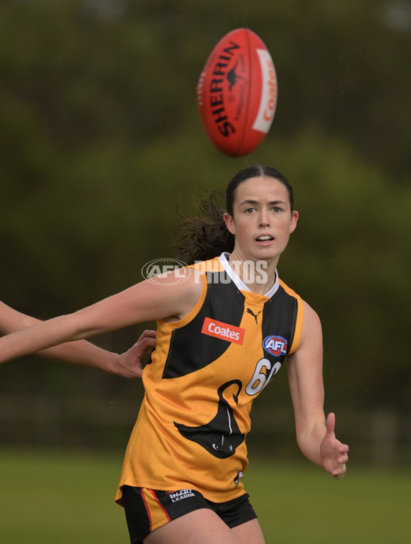 Coates League Girls 2024 - Sandringham v Dandenong - A-52001488