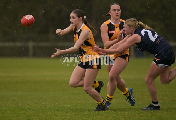 Coates League Girls 2024 - Sandringham v Dandenong - A-52001490