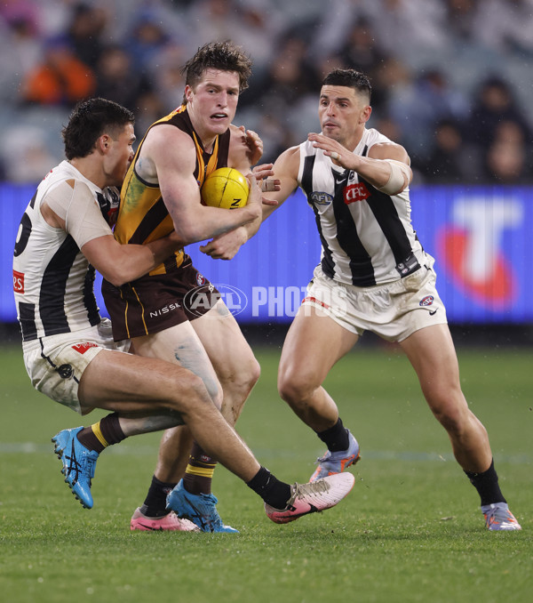 AFL 2024 Round 19 - Hawthorn v Collingwood - A-52001603