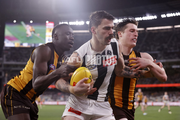 AFL 2024 Round 19 - Hawthorn v Collingwood - A-52001634