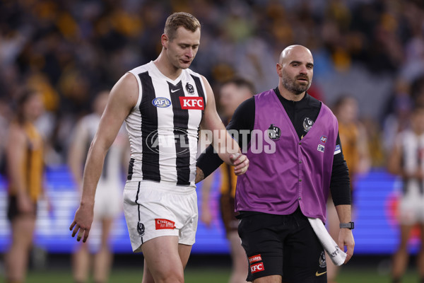 AFL 2024 Round 19 - Hawthorn v Collingwood - A-52001649