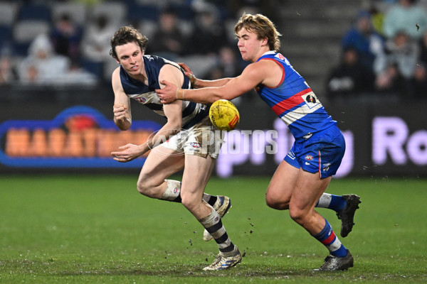 AFL 2024 Round 19 - Geelong v Western Bulldogs - A-52004347