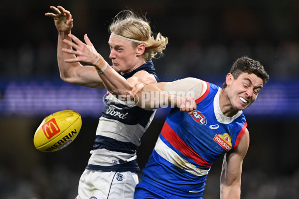 AFL 2024 Round 19 - Geelong v Western Bulldogs - A-52004362