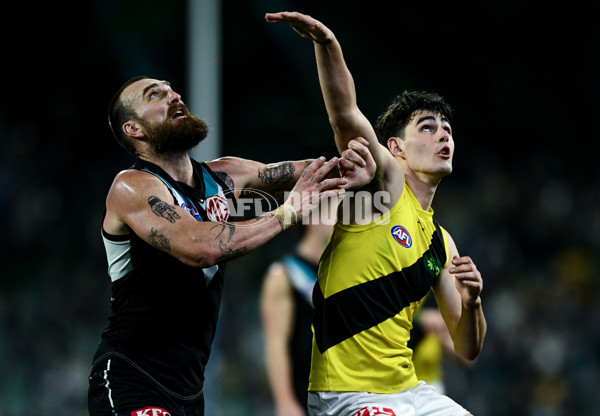 AFL 2024 Round 19 - Port Adelaide v Richmond - A-52004532