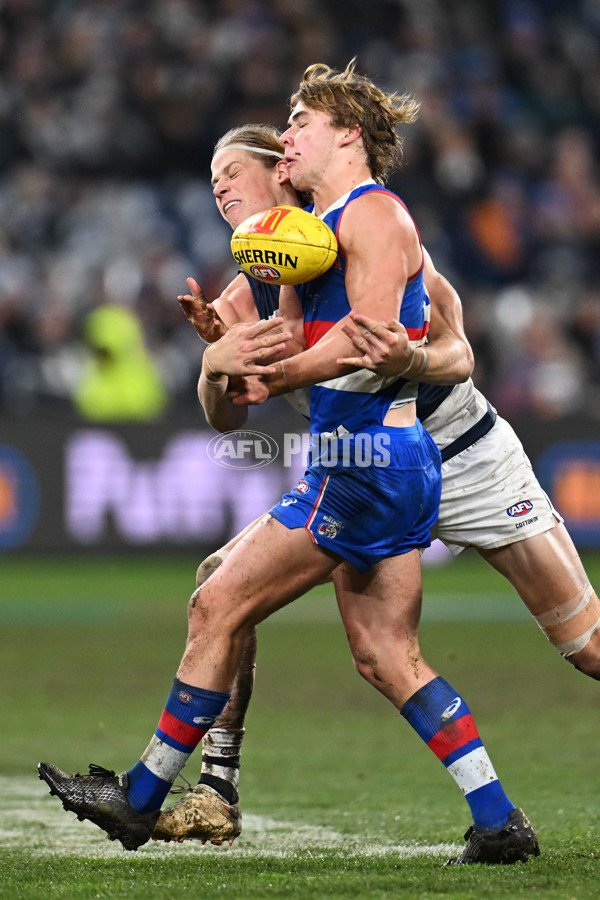 AFL 2024 Round 19 - Geelong v Western Bulldogs - A-52004540