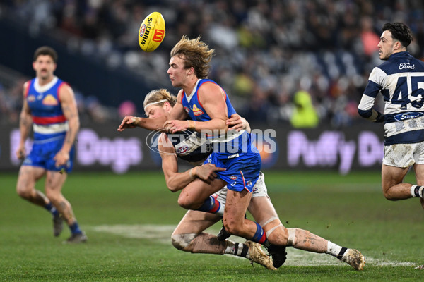 AFL 2024 Round 19 - Geelong v Western Bulldogs - A-52004543