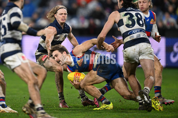 AFL 2024 Round 19 - Geelong v Western Bulldogs - A-52007035