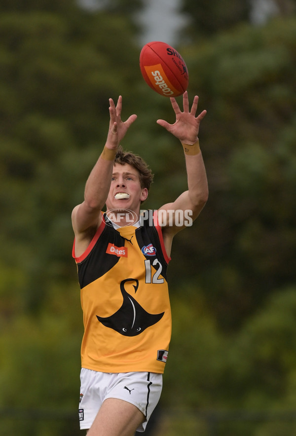 Coates League Boys 2024 - Sandringham v Dandenong - A-52007041