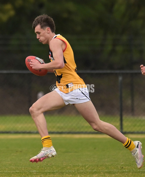 Coates League Boys 2024 - Sandringham v Dandenong - A-52007044