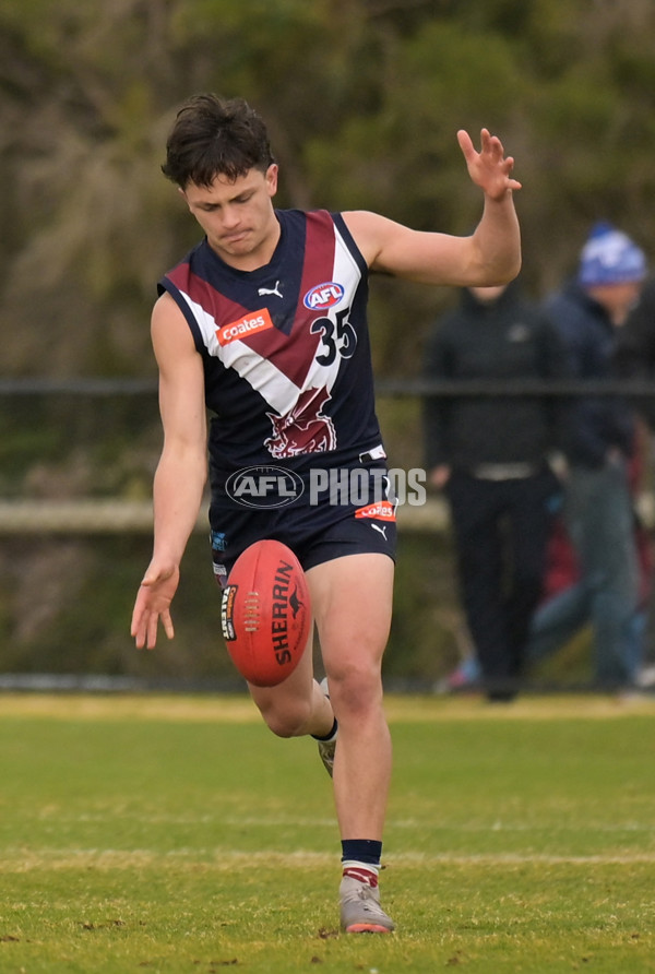 Coates League Boys 2024 - Sandringham v Dandenong - A-52009895