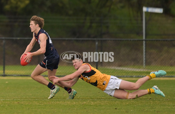 Coates League Boys 2024 - Sandringham v Dandenong - A-52009901