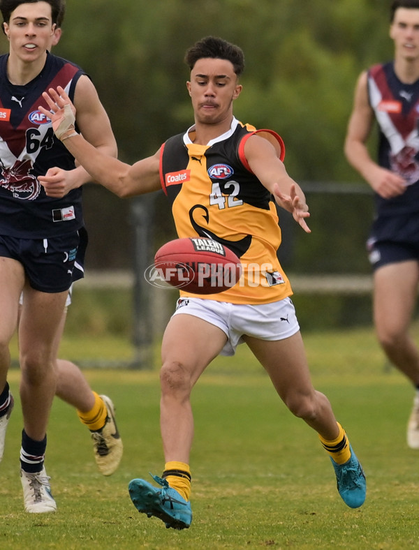 Coates League Boys 2024 - Sandringham v Dandenong - A-52009911