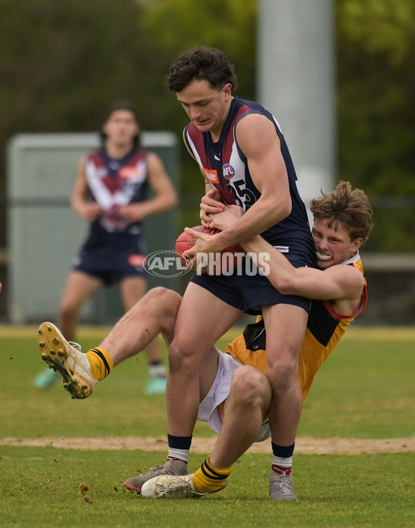 Coates League Boys 2024 - Sandringham v Dandenong - A-52009922