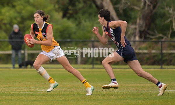 Coates League Boys 2024 - Sandringham v Dandenong - A-52009923