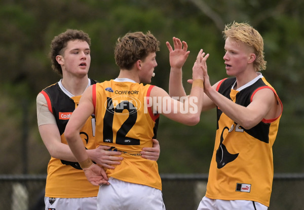 Coates League Boys 2024 - Sandringham v Dandenong - A-52010107