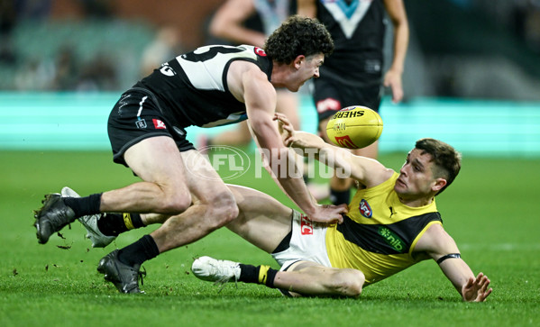 AFL 2024 Round 19 - Port Adelaide v Richmond - A-52010137