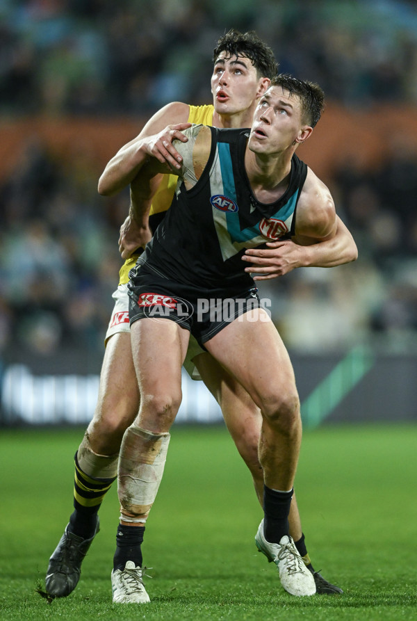 AFL 2024 Round 19 - Port Adelaide v Richmond - A-52012215